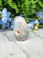 a gray rock with a brown spot on it, placed on a marble surface. The rock is surrounded by blue flowers, creating a visually appealing contrast.