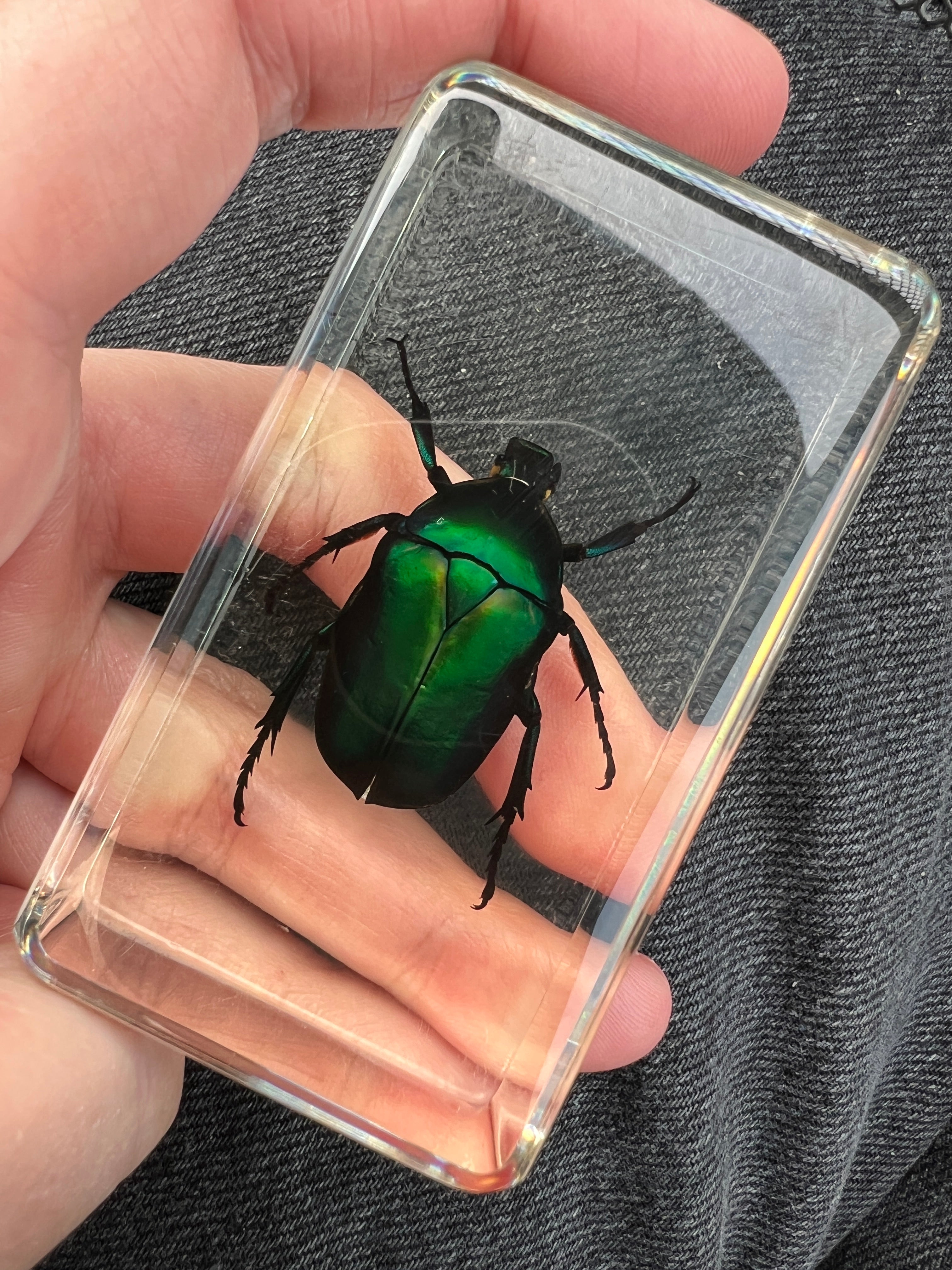 Groene kever in hars – decoratief specimen