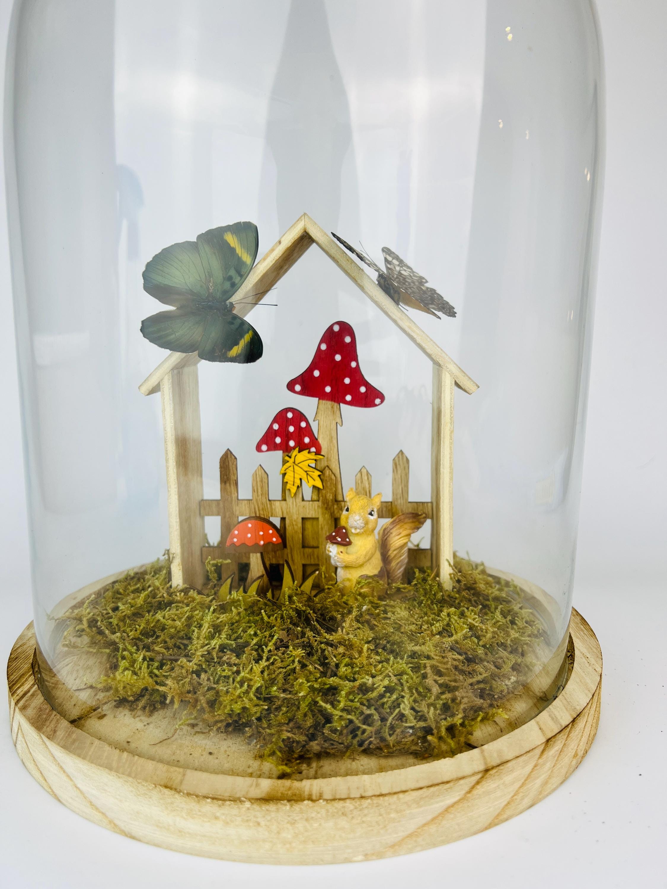 Twee vlinders op een tafereeltje in stolp