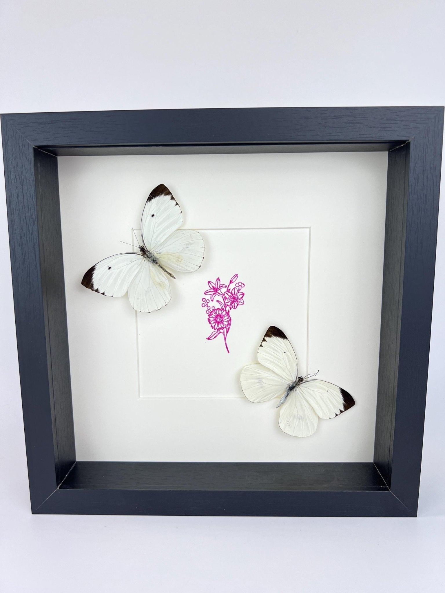 Ascia Bunaie auf violettem Blumenmuster, gerahmt von KEY LIME STORE