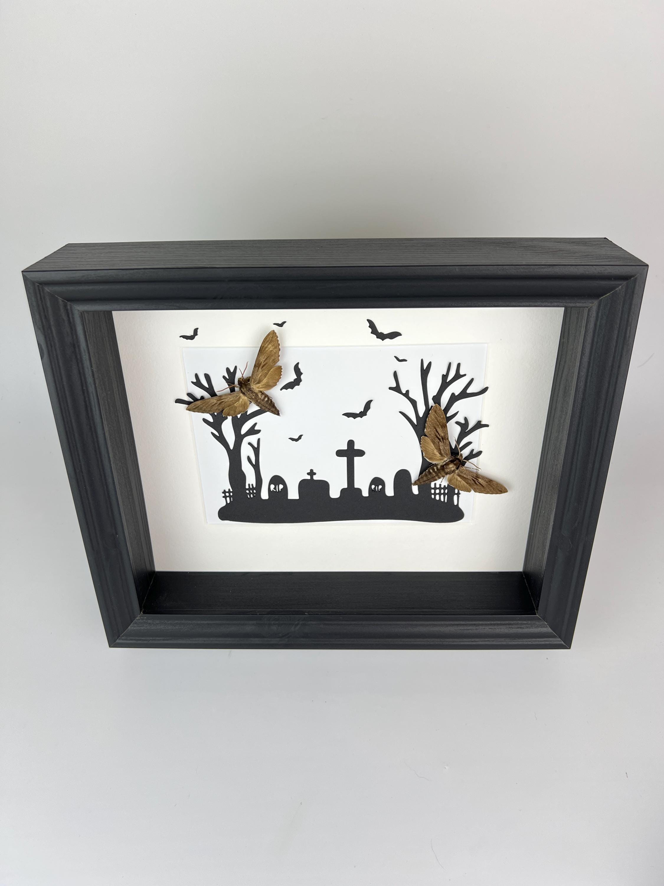 Sphinx Ligustri auf Halloween-Druck im Rahmen