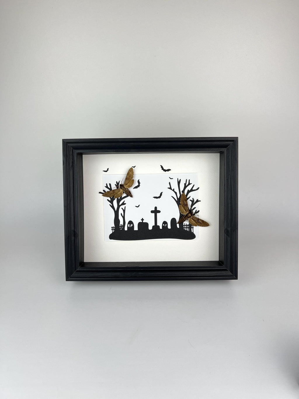 Sphinx Ligustri auf Halloween-Druck im Rahmen von KEY LIME STORE