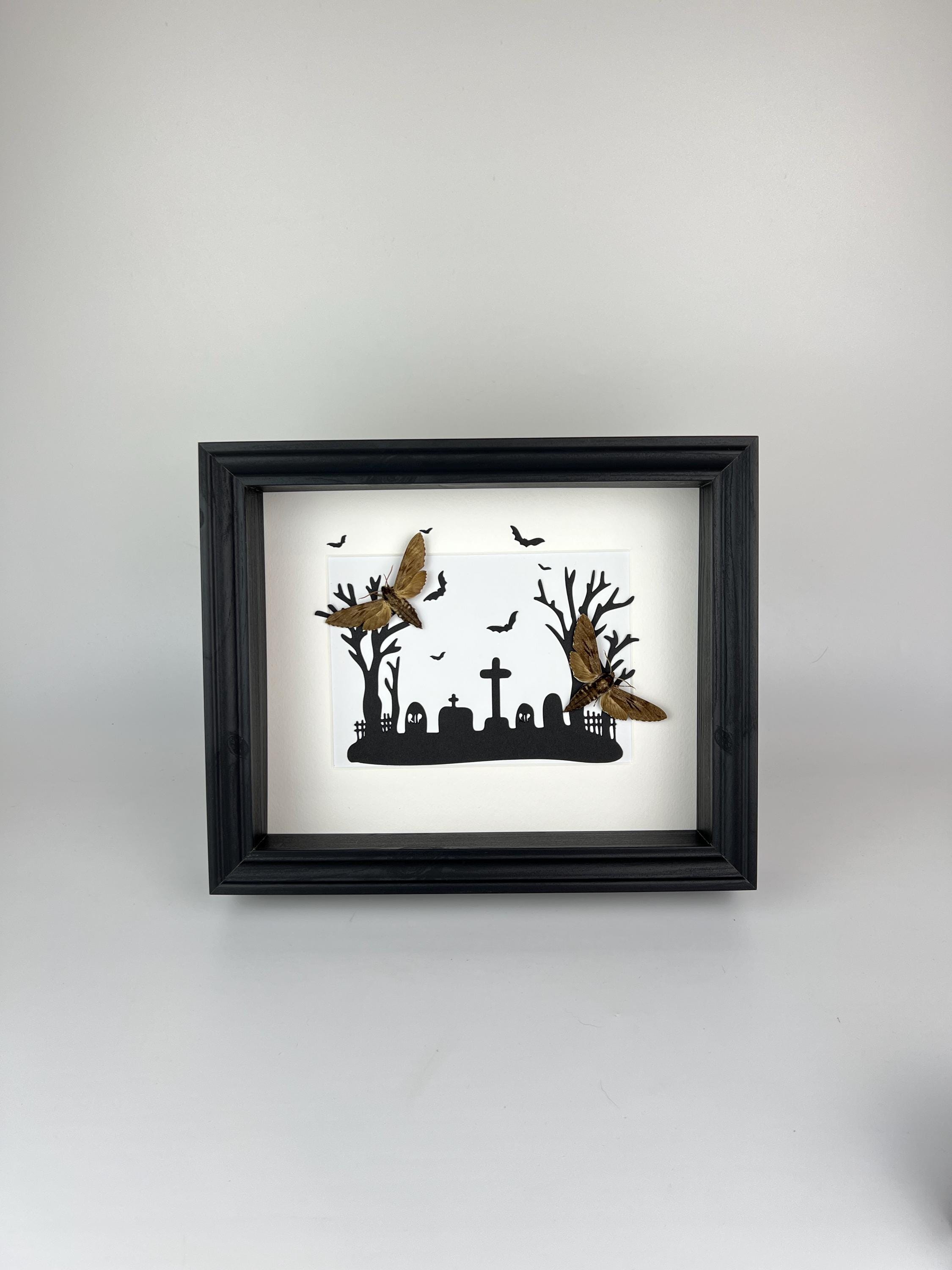 Sphinx Ligustri auf Halloween-Druck im Rahmen