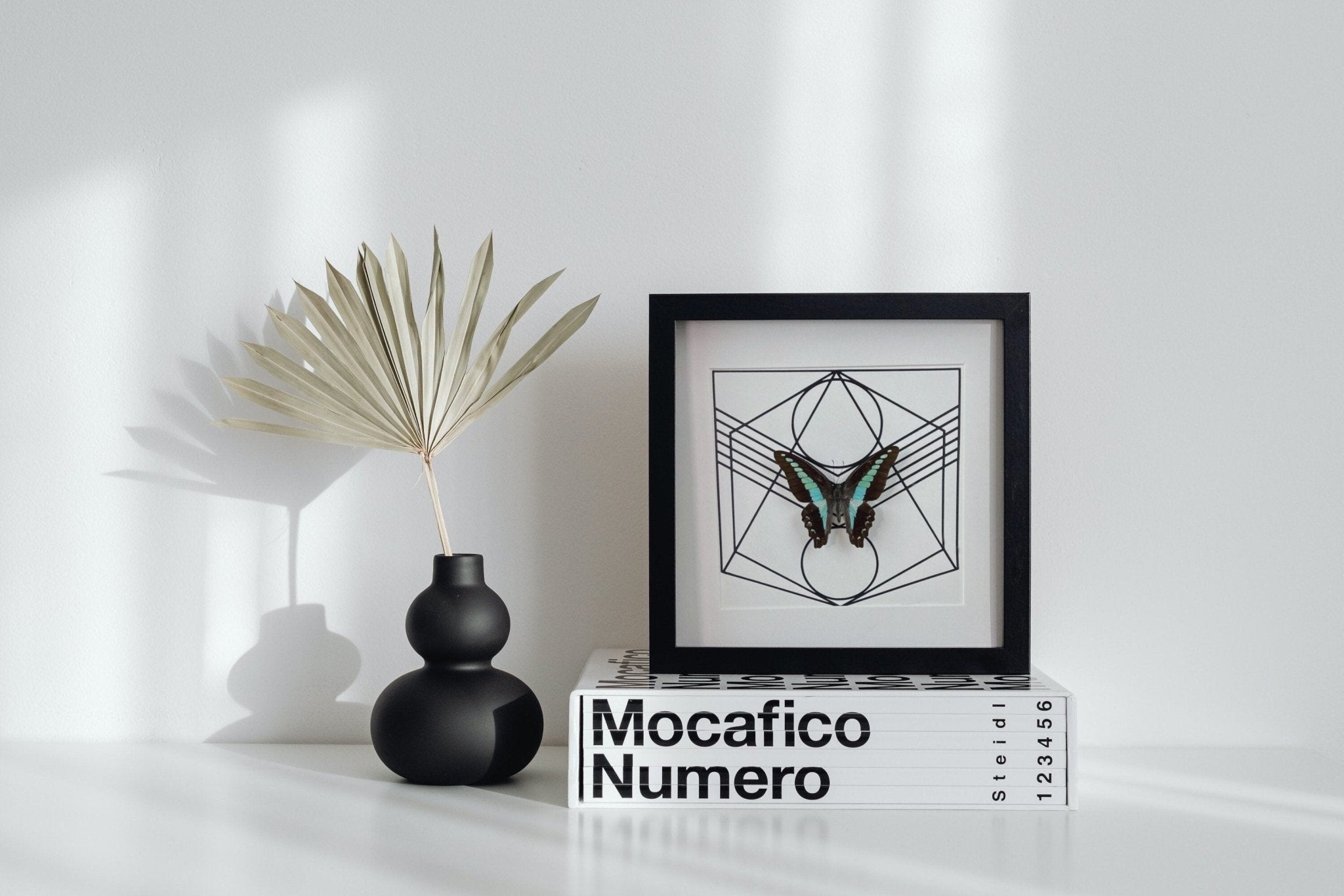 Graphium Sarpedon in lijst by KEY LIME STORE