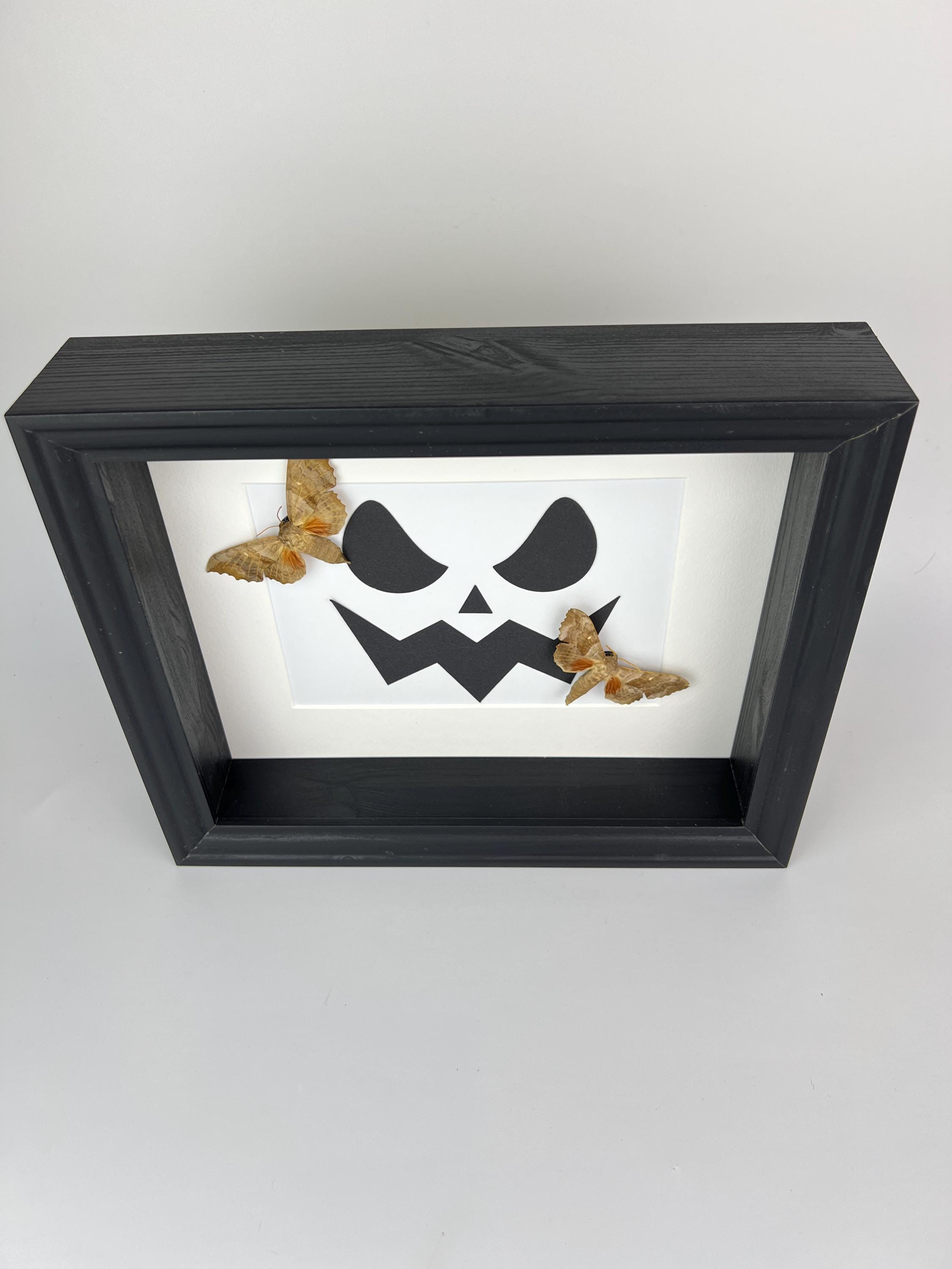 Motten op halloween print in lijst