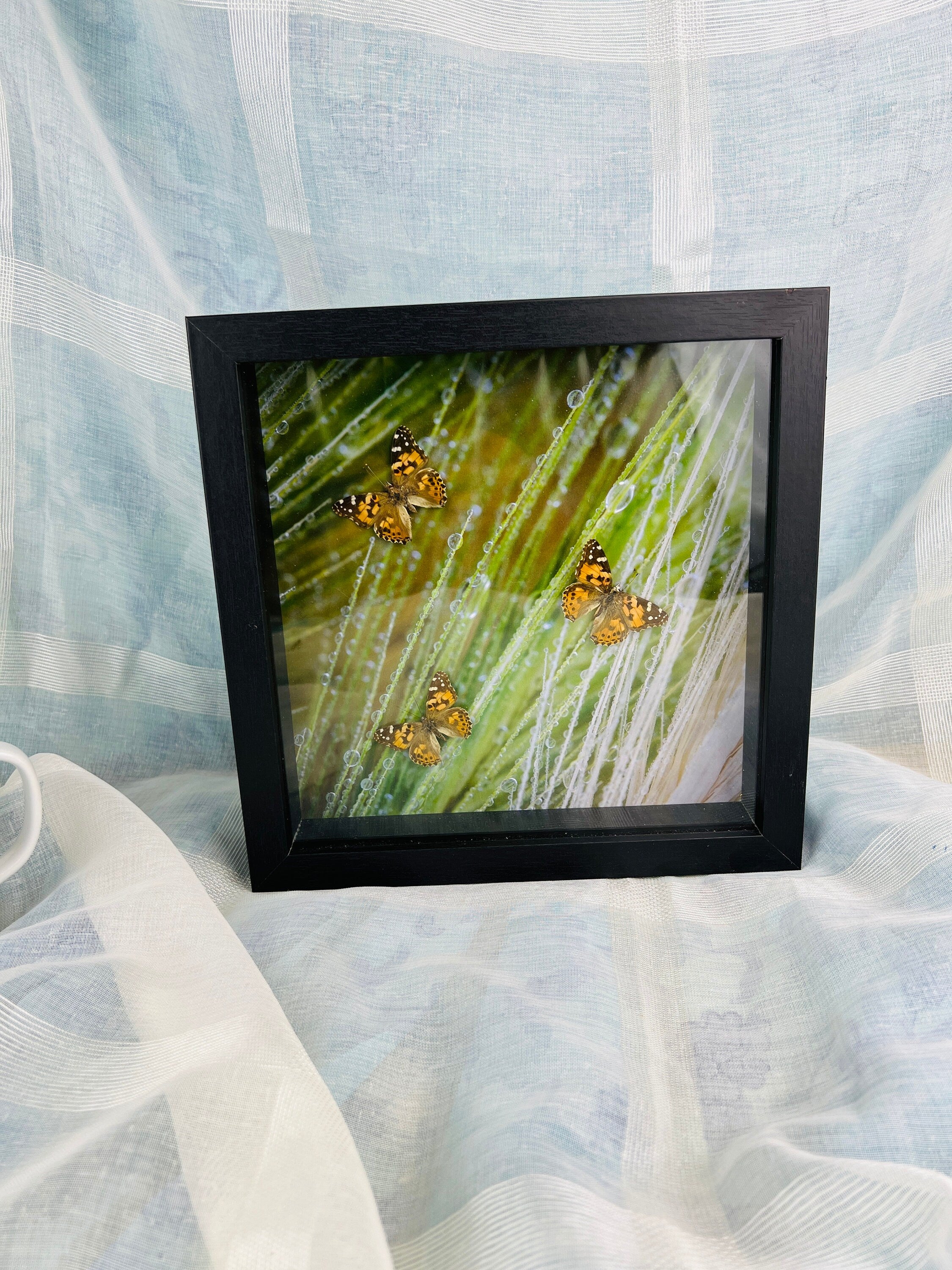 Unique Wall Decor: Framed Vanessa Cardui Butterflies and Photo Print