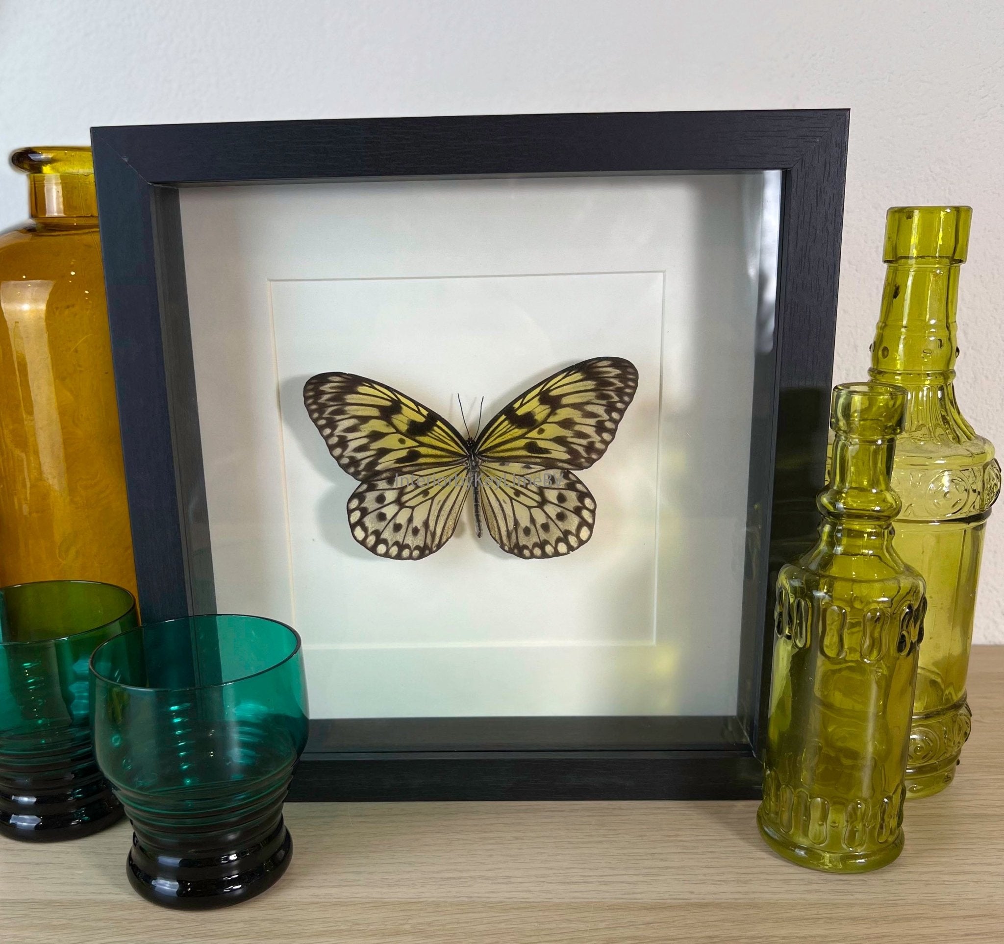 Idea Leuconoe in lijst by KEY LIME STORE