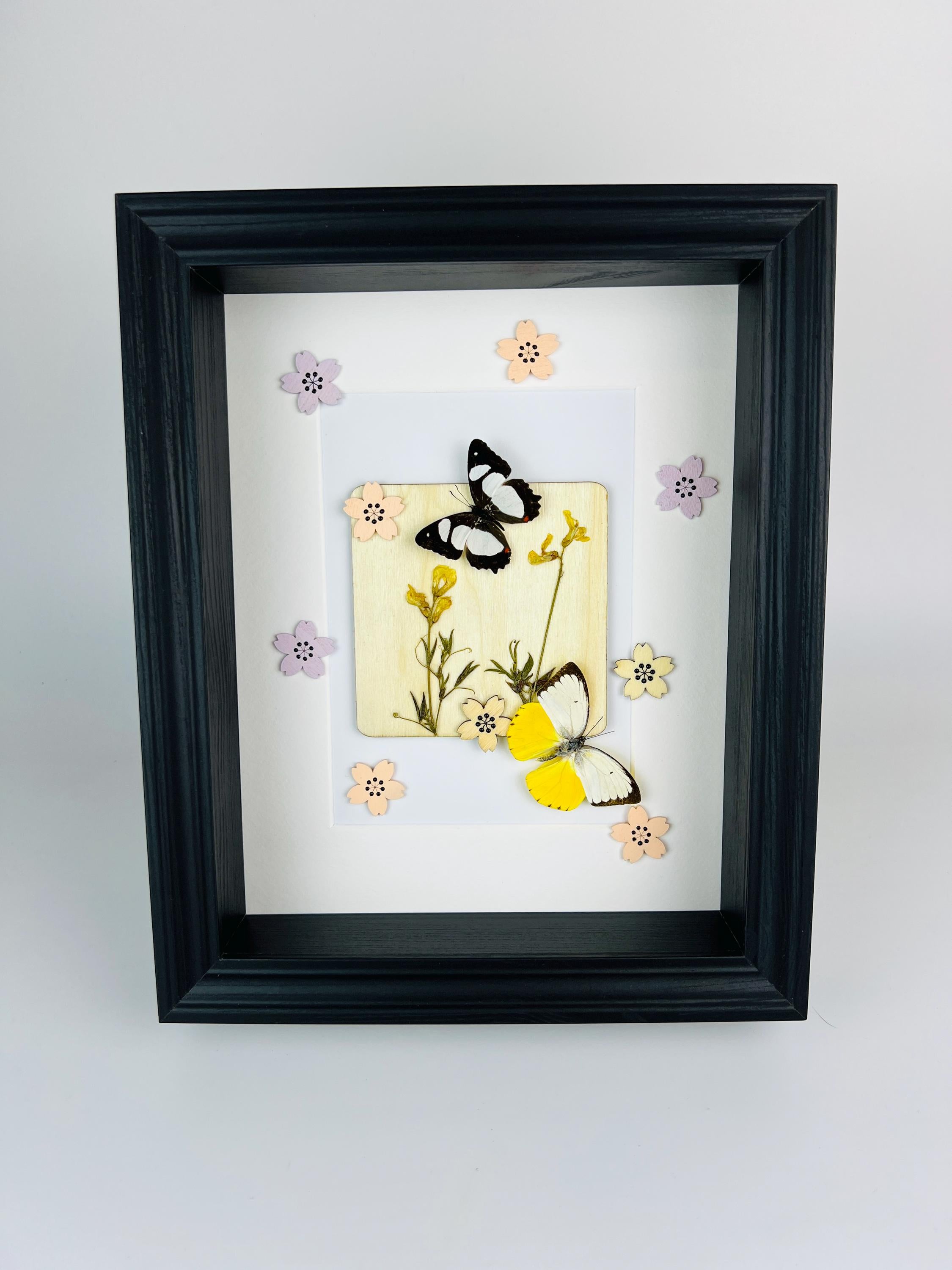 Vlinders met droogbloemen en decoratie in lijst