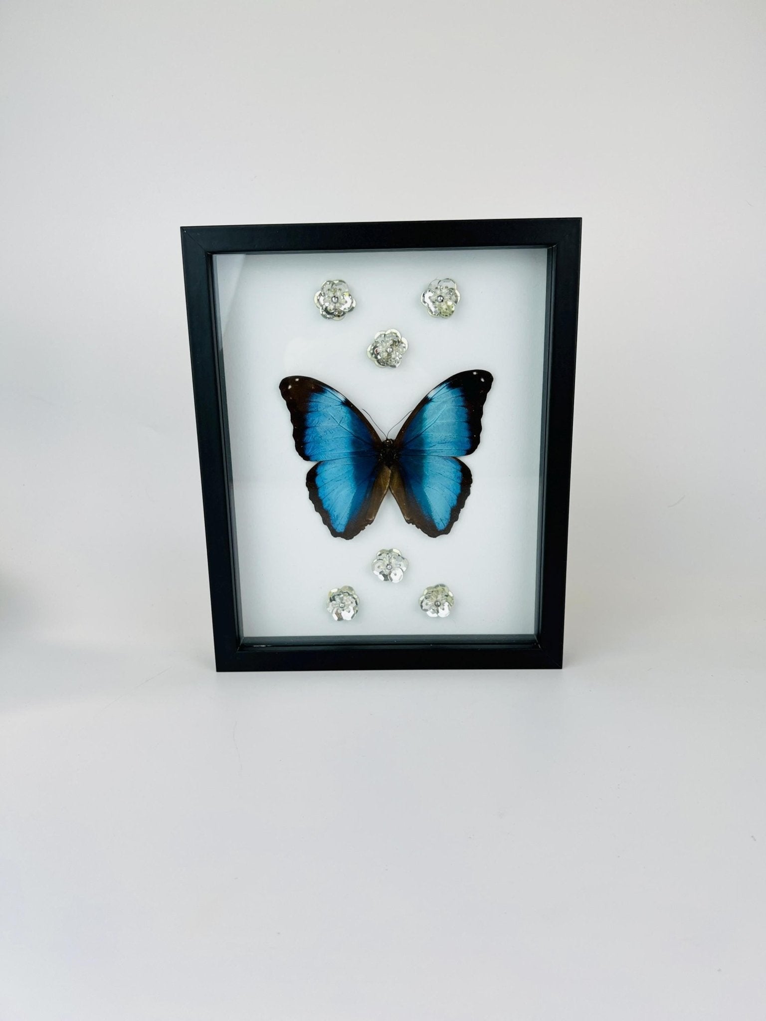 Morpho Deidamia mit Glitzerblumen im Rahmen von KEY LIME STORE