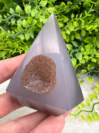 A hand is holding a triangular, gray-colored object with a brown, speckled surface, set against a background of green foliage.