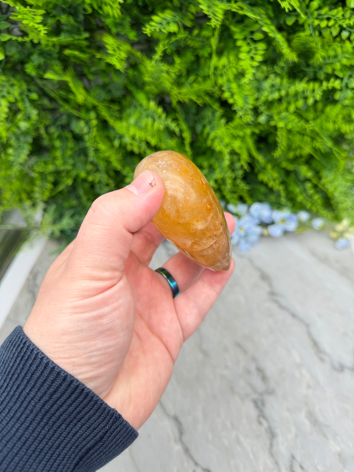 A hand holding a small, round object against a backdrop of green foliage and a gray wall.