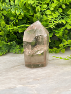 A clear crystal with a jagged edge rests on a white surface, surrounded by lush green foliage.