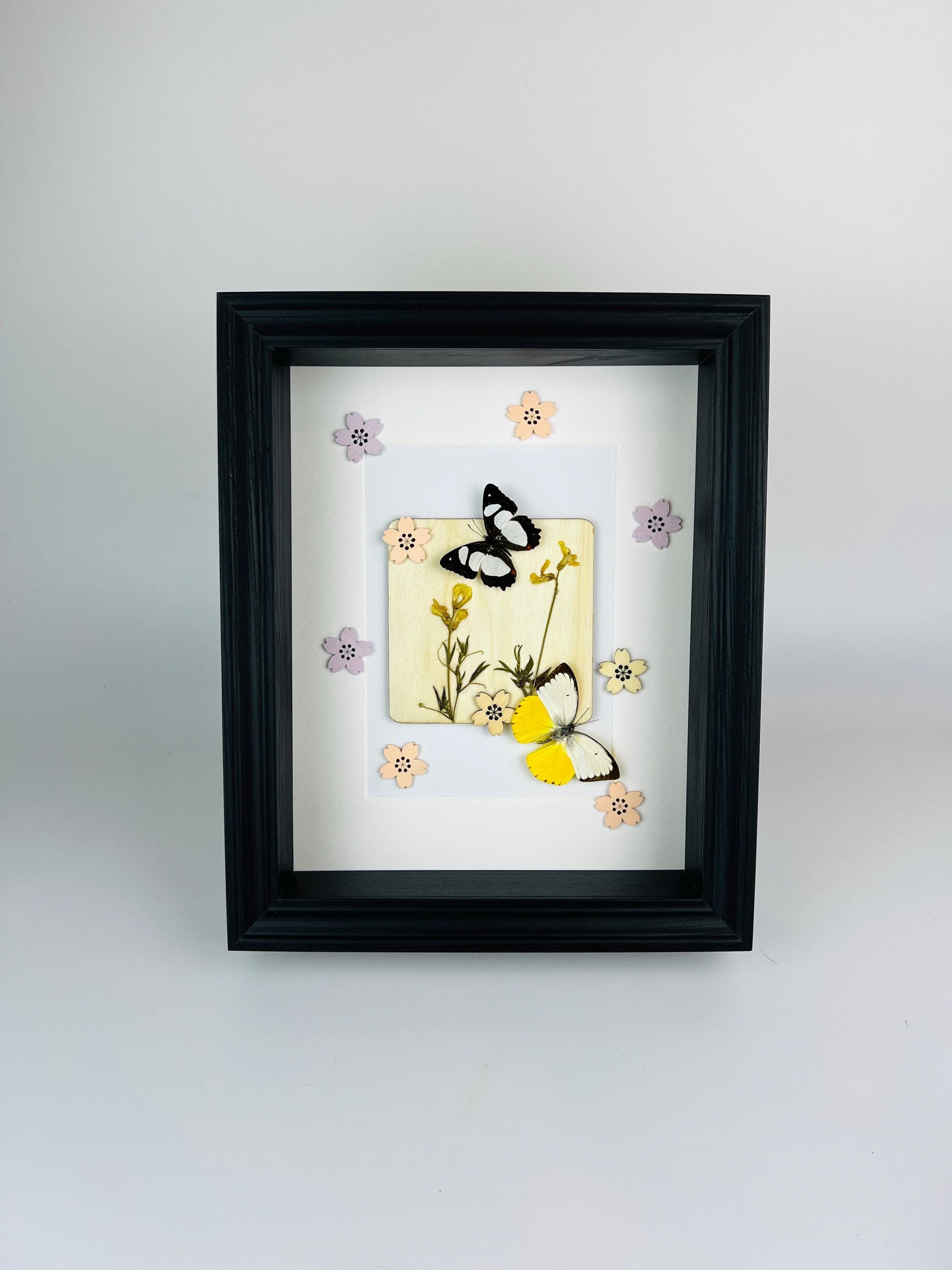 Schmetterlinge mit Trockenblumen und Dekoration im Rahmen