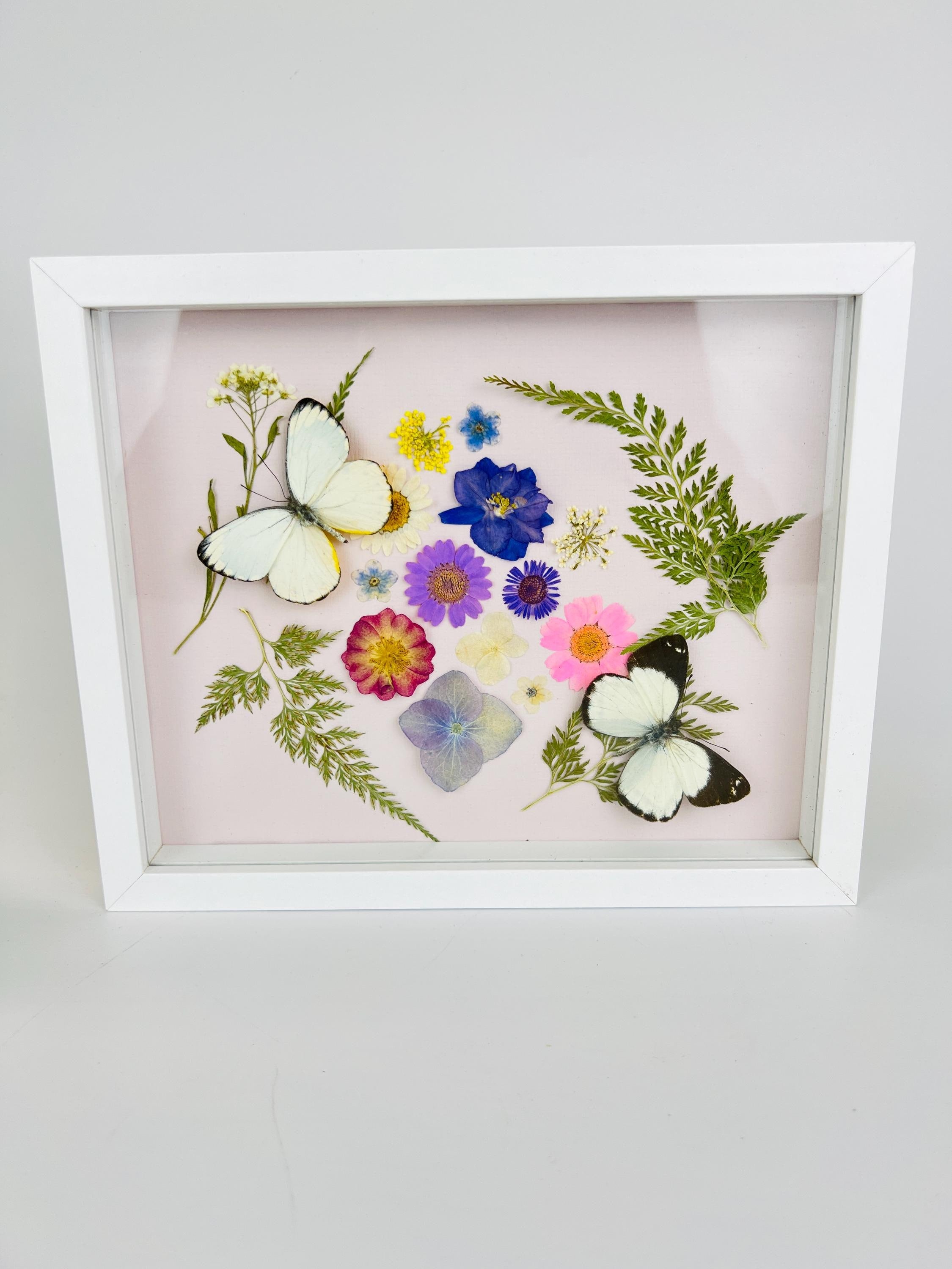 Weiße Schmetterlinge mit Trockenblumen in einem Rahmen