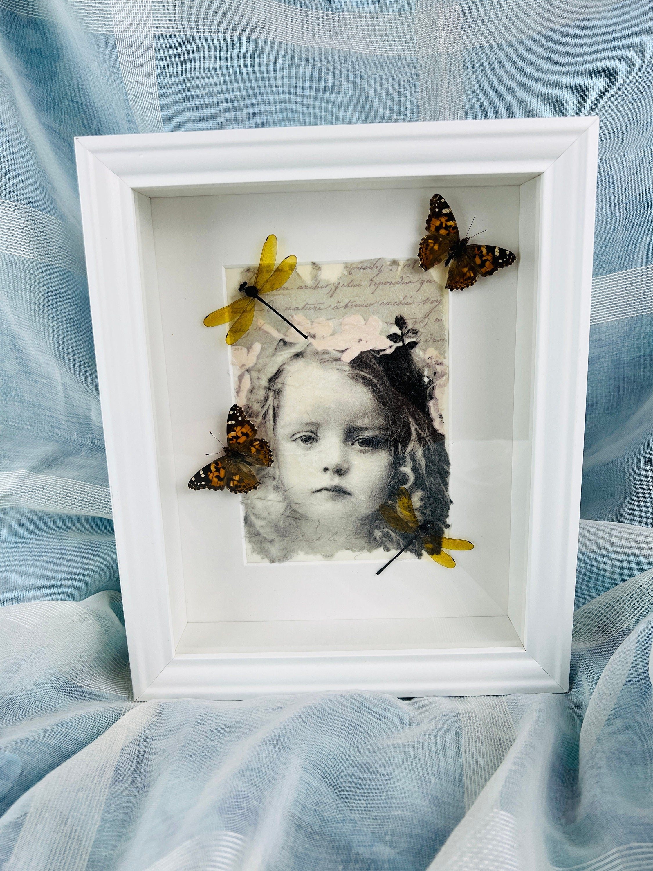 Vanessa Cardui en libelle op print in lijst