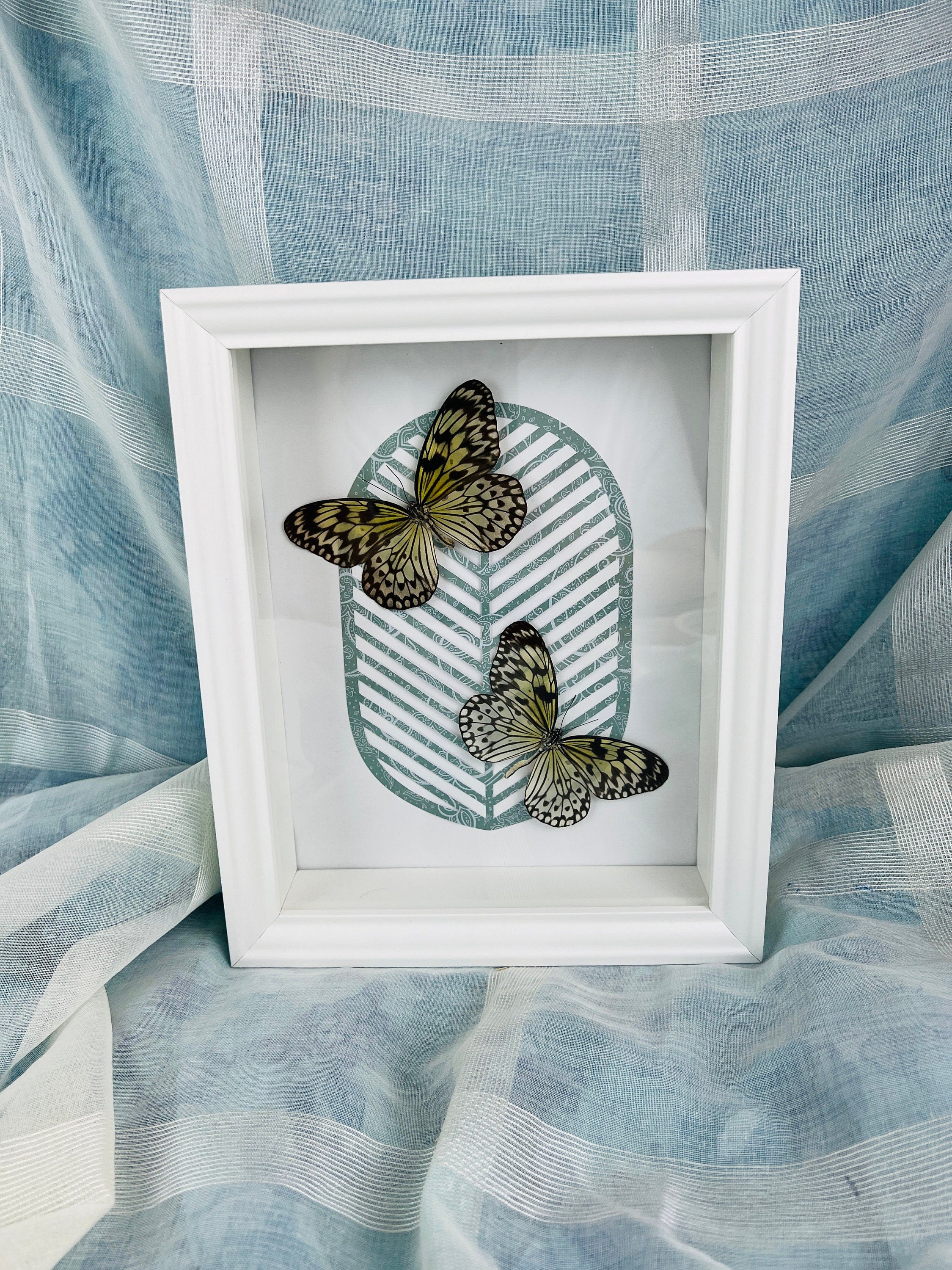 Idea Leuconoe op print in lijst