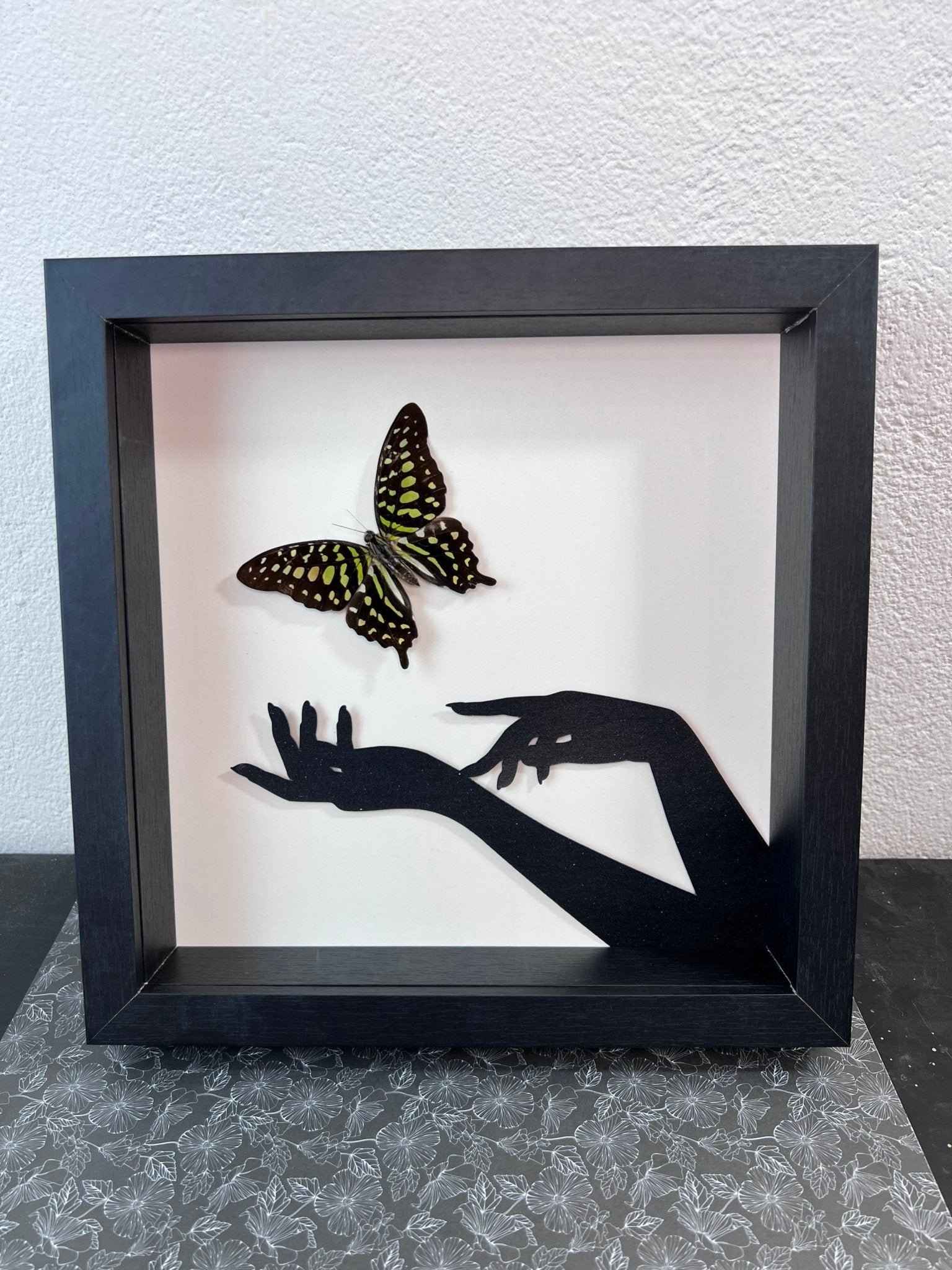 „Graphium Agamemnon“ gerahmt von KEY LIME STORE