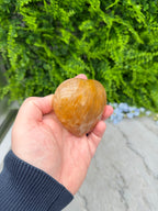 A hand holding a small, round, brown object against a backdrop of green foliage.