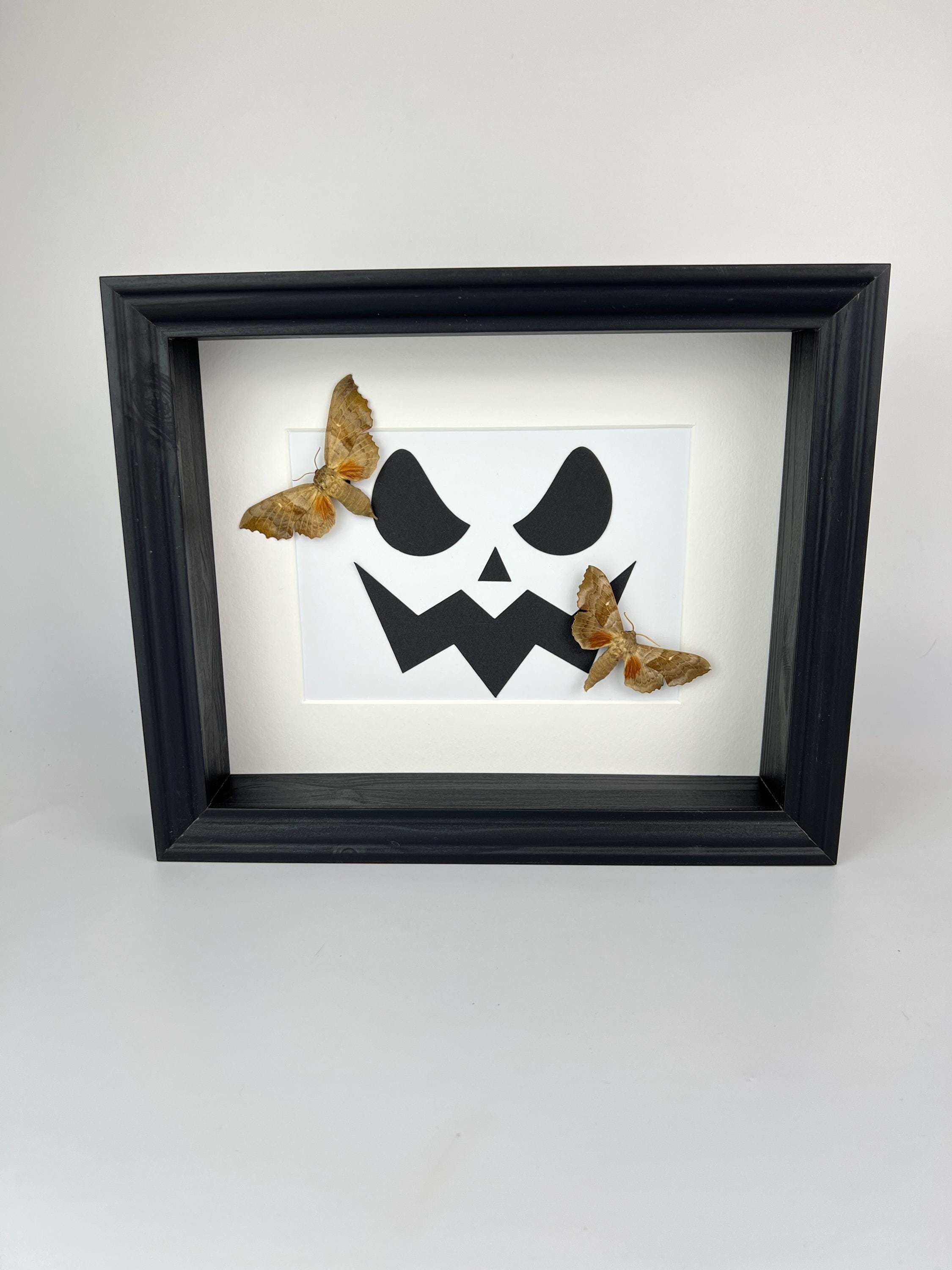 Motten op halloween print in lijst