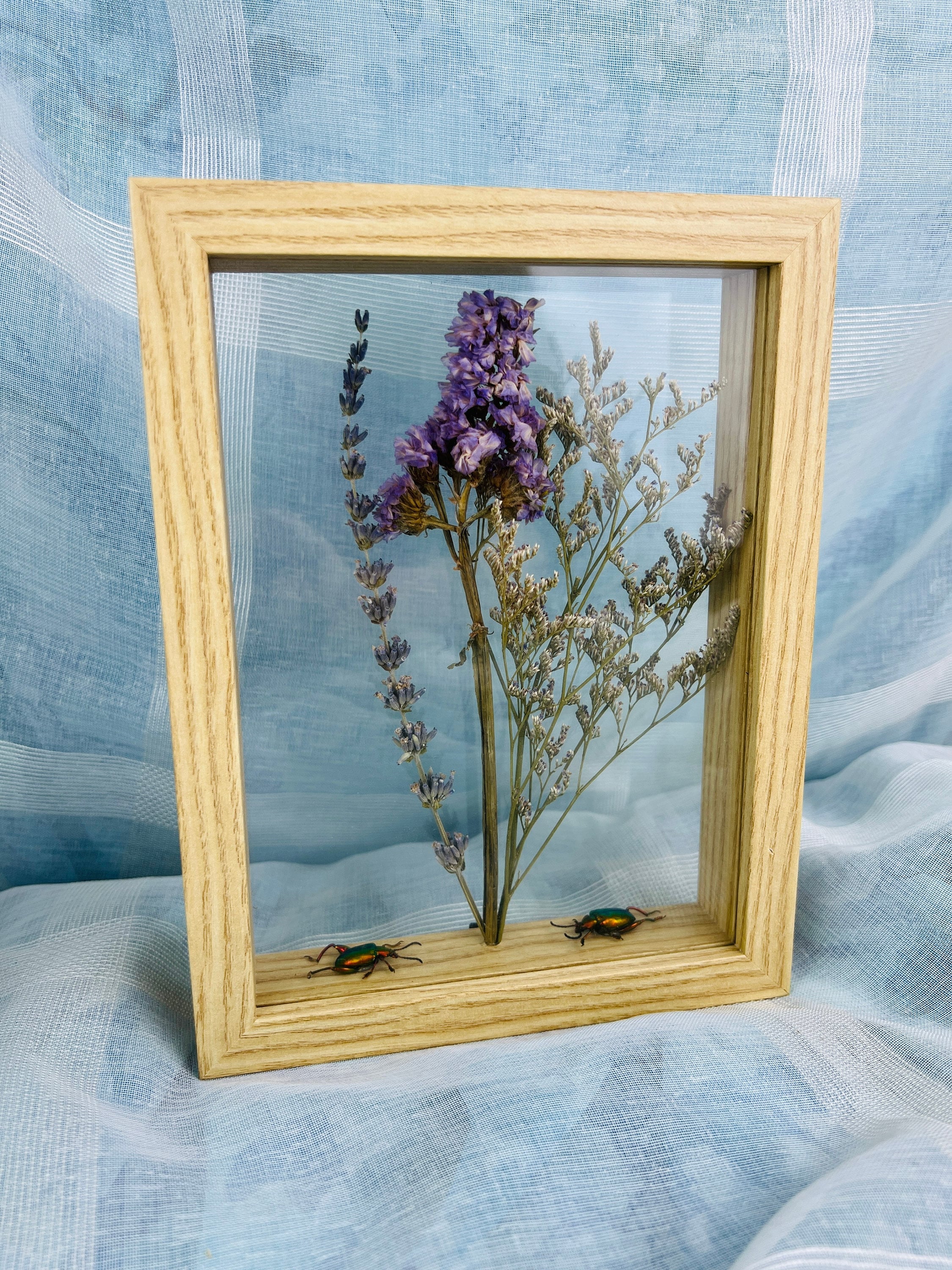 Echte insecten | Dubbelglas houten lijst met kevers en droogbloemen (22x17cm)