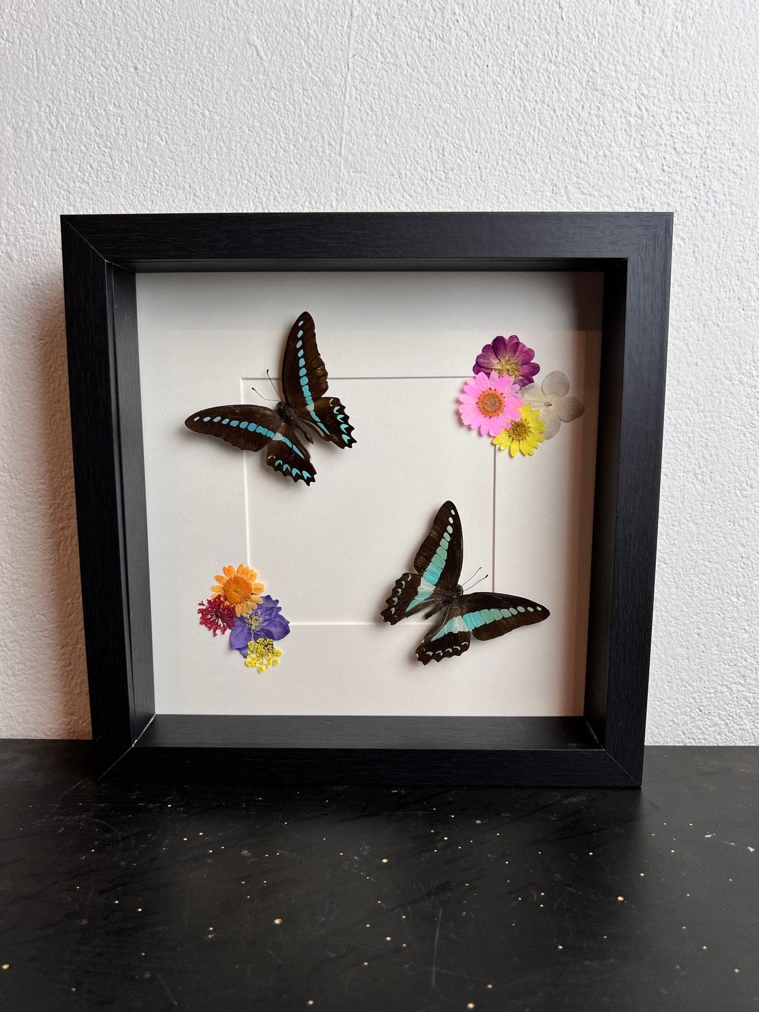 „Graphium Milon“ und „Graphium Sarpedon“ mit Trockenblumen in einem Rahmen von KEY LIME STORE