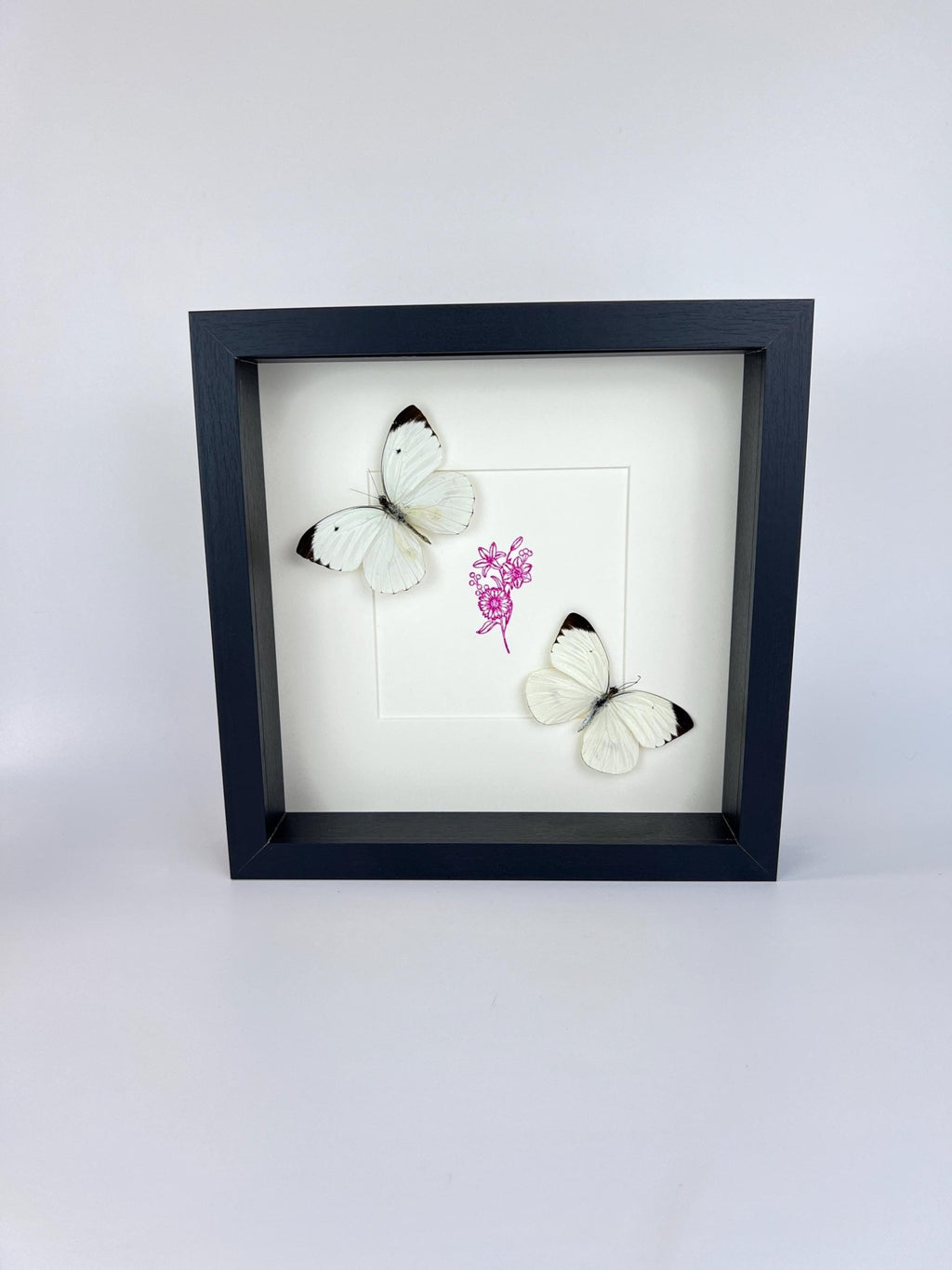 Ascia Bunaie auf violettem Blumenmuster, gerahmt von KEY LIME STORE