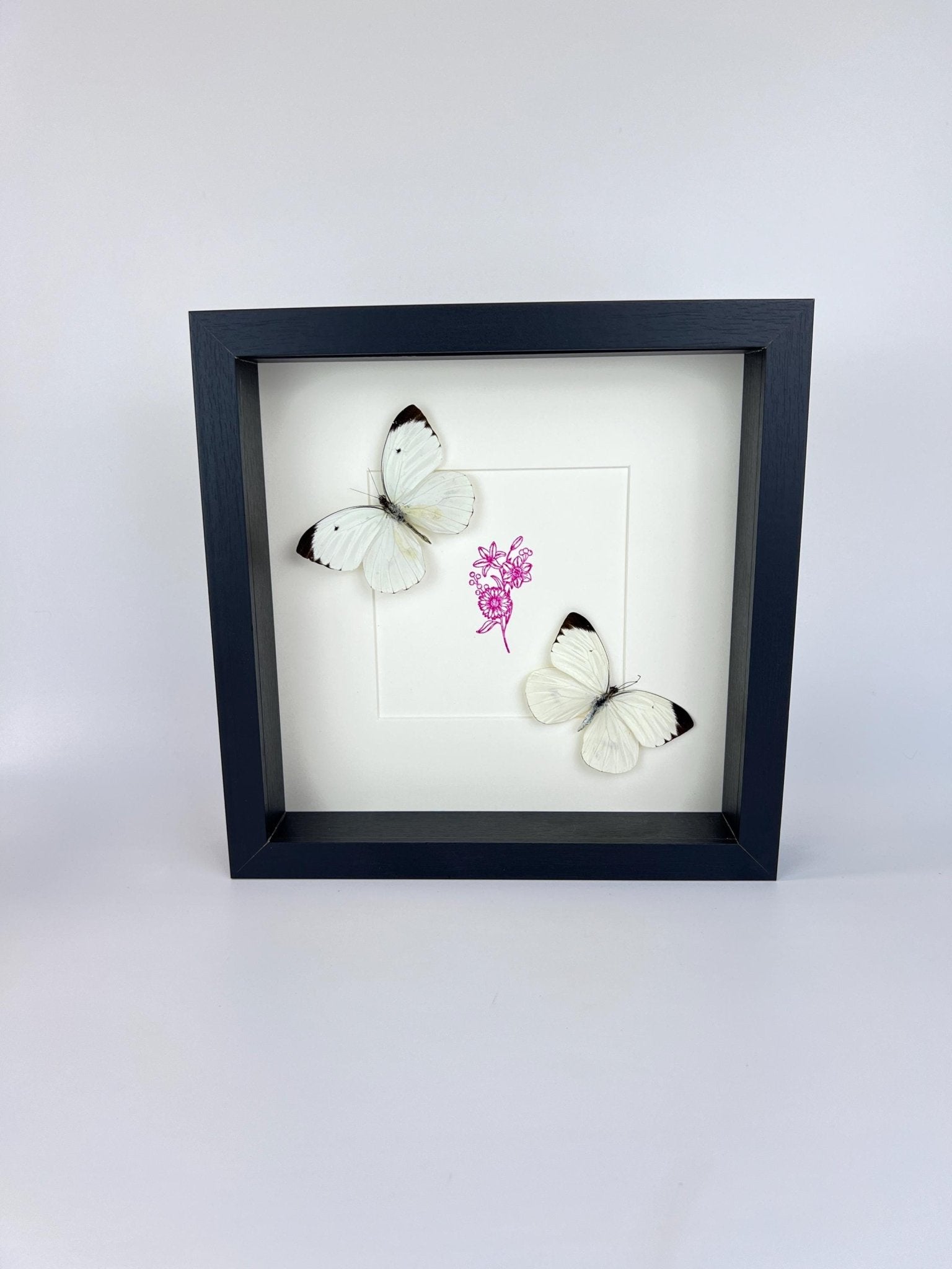 Ascia Bunaie auf violettem Blumenmuster, gerahmt von KEY LIME STORE