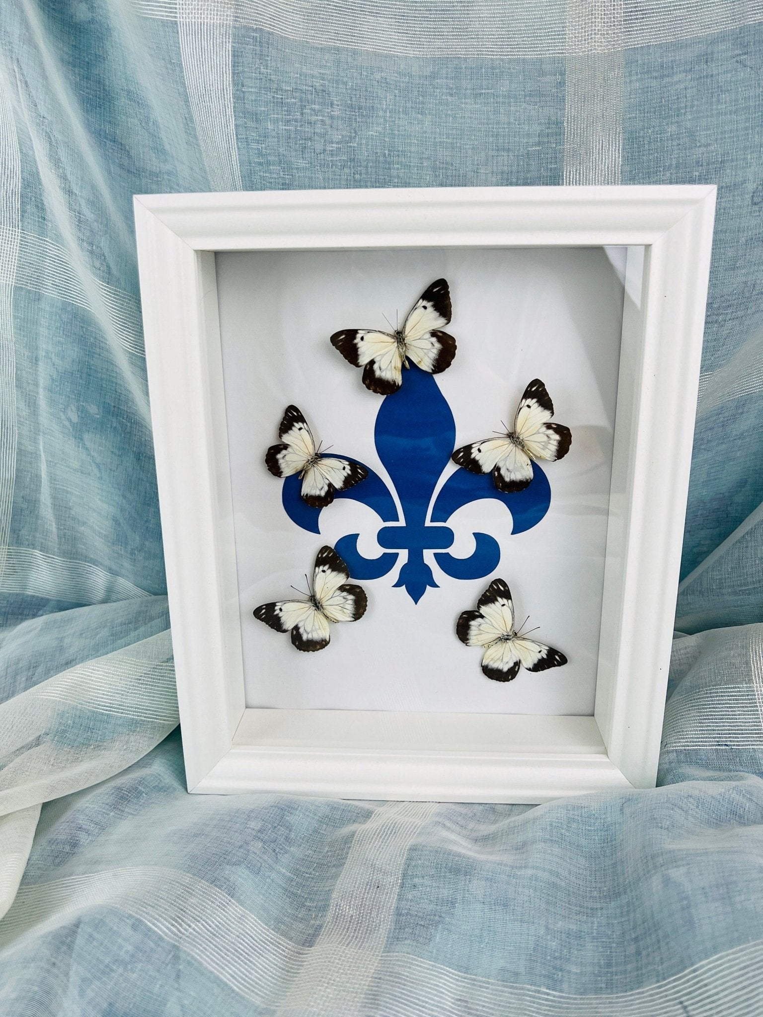 „Belenois“ mit „Fleur de Lis“-Motiv, gerahmt von KEY LIME STORE