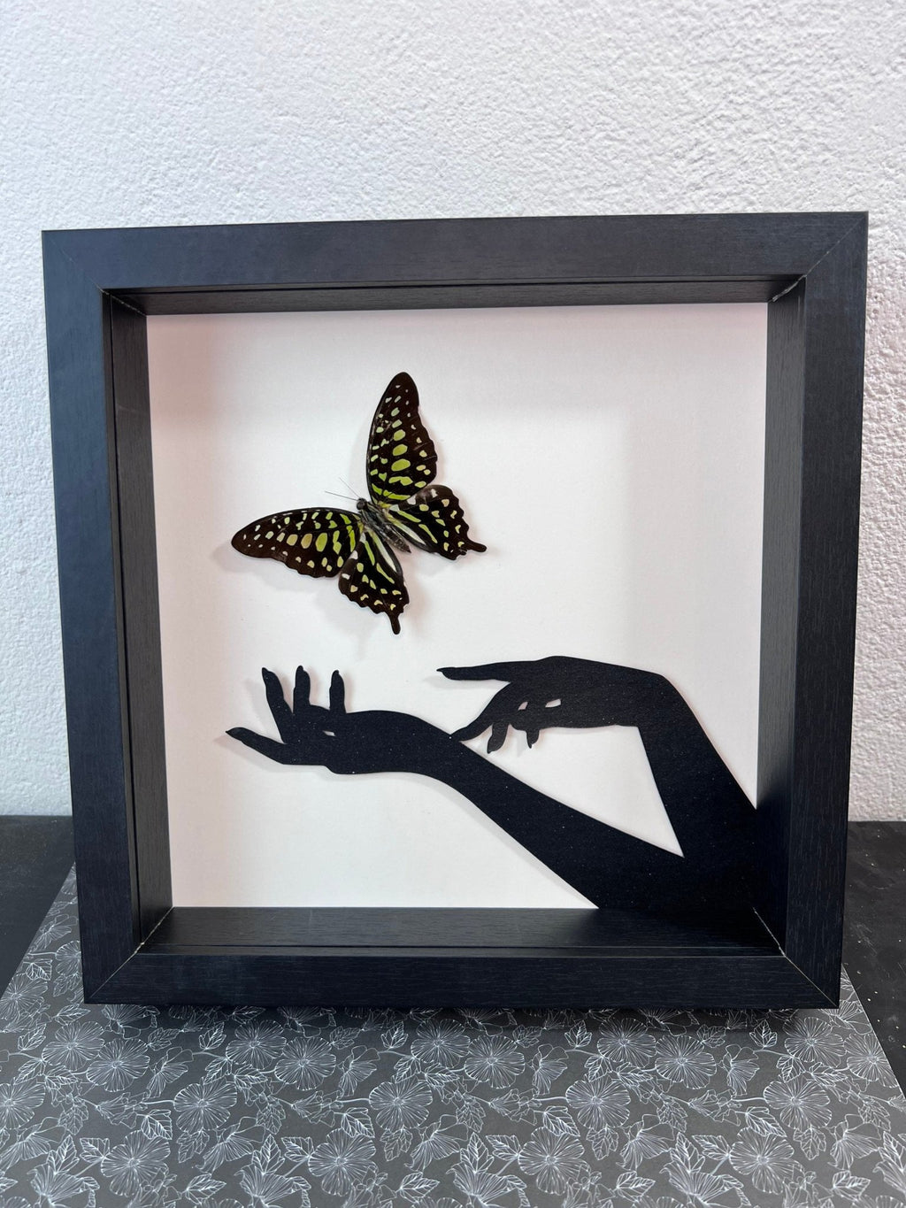 „Graphium Agamemnon“ gerahmt von KEY LIME STORE