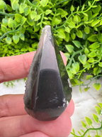 A hand is holding a black, triangular-shaped crystal against a background of green foliage.