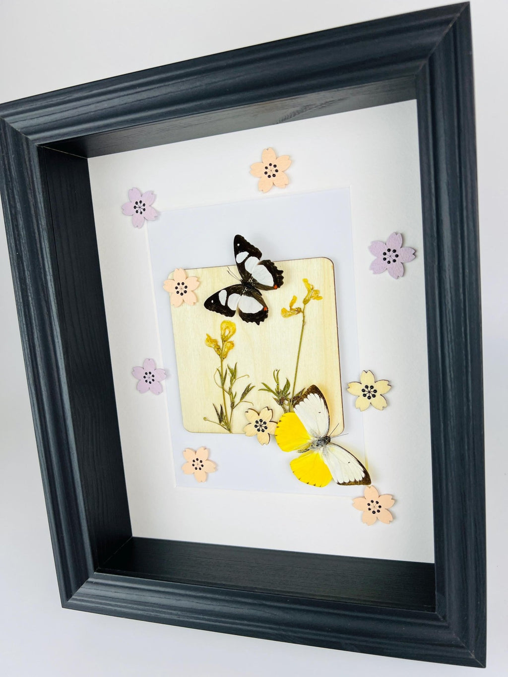 Schmetterlinge mit Trockenblumen und Dekoration im Rahmen von KEY LIME STORE