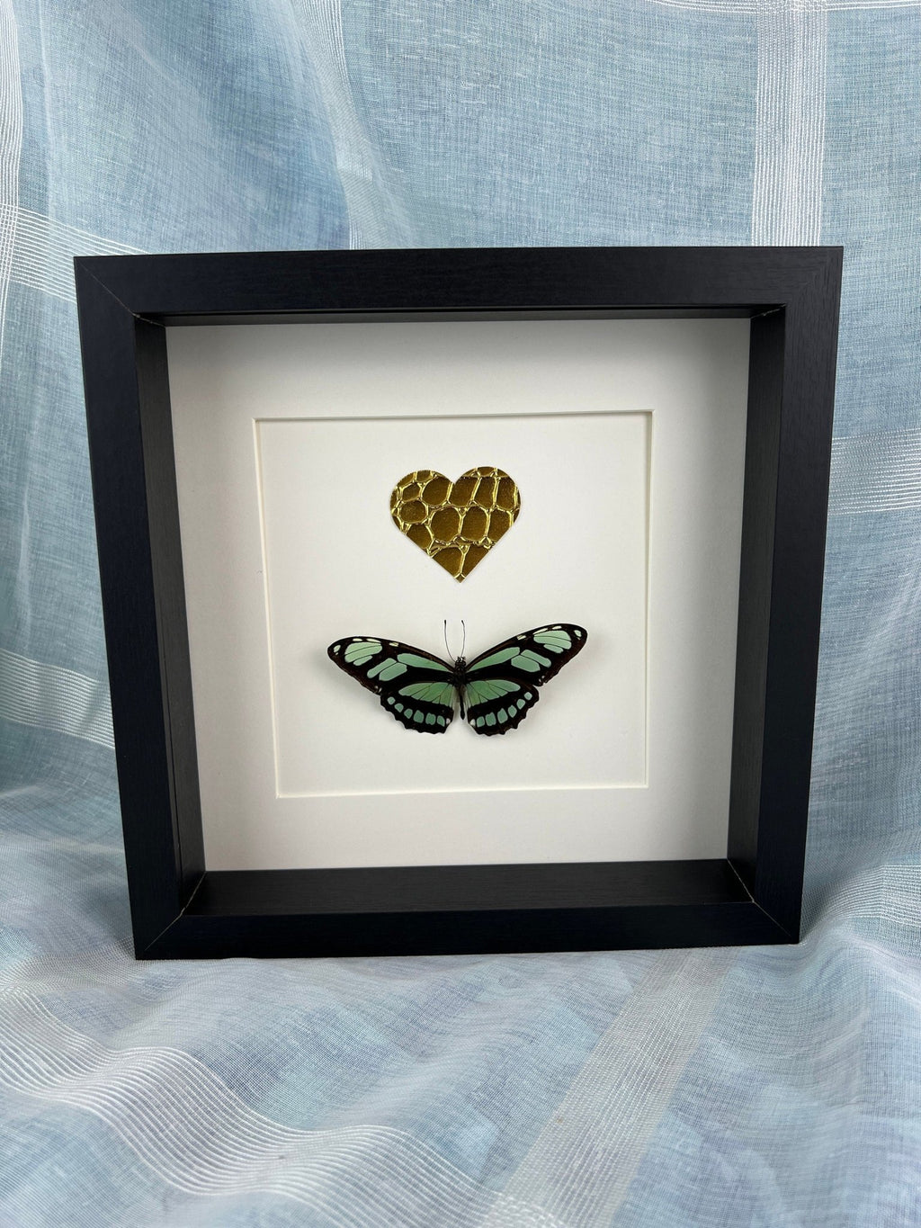 Philaethria Dido und ein goldenes Lederherz in einem Rahmen von KEY LIME STORE