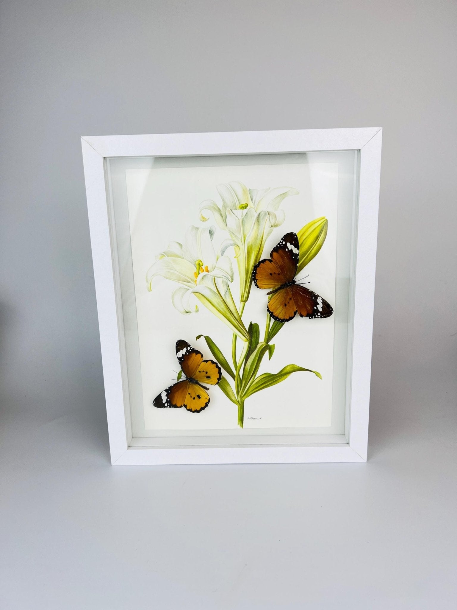 Danaus Chrysippus op vintage bloemenprint in lijst by KEY LIME STORE