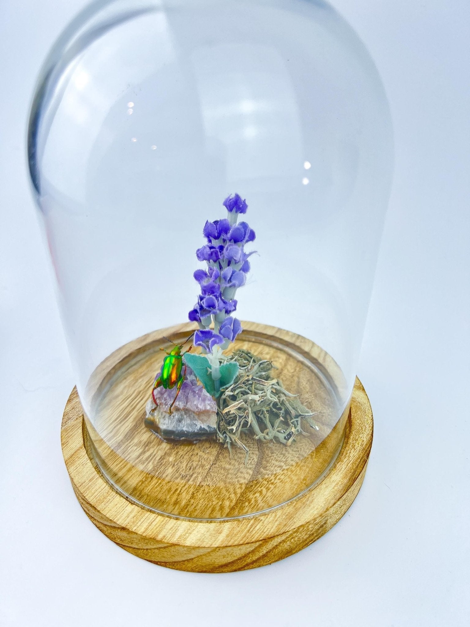 Schillernder Käfer auf Amethyst mit Lavendel und echtem Moos in einer Glasglocke von KEY LIME STORE