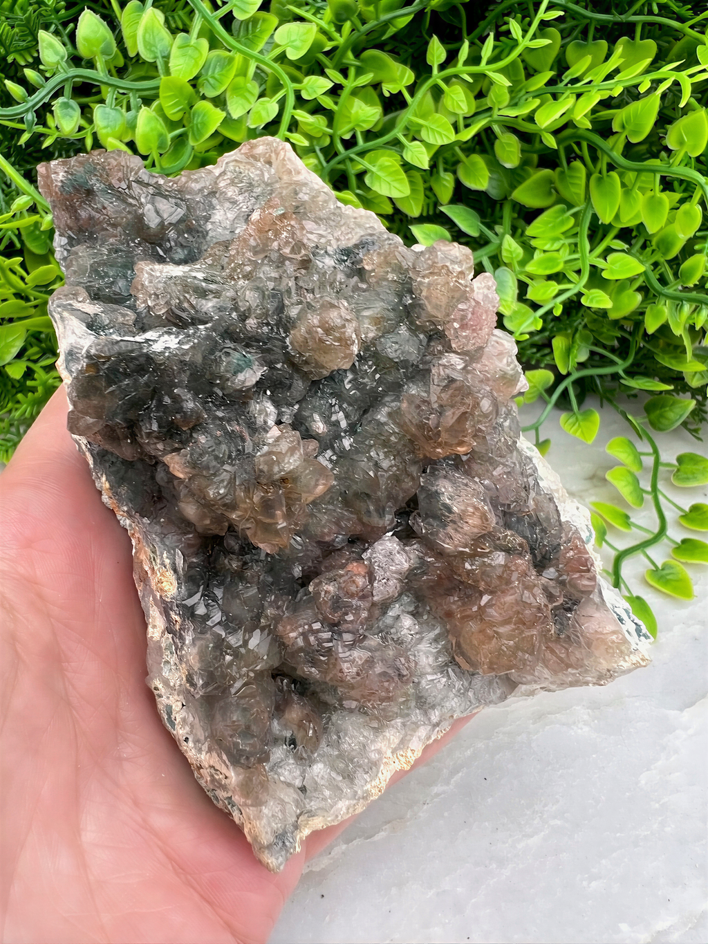 A hand is holding a piece of rock with a crystal-like appearance, surrounded by green foliage.