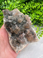 A hand is holding a piece of rock with a crystal-like appearance, surrounded by green foliage.