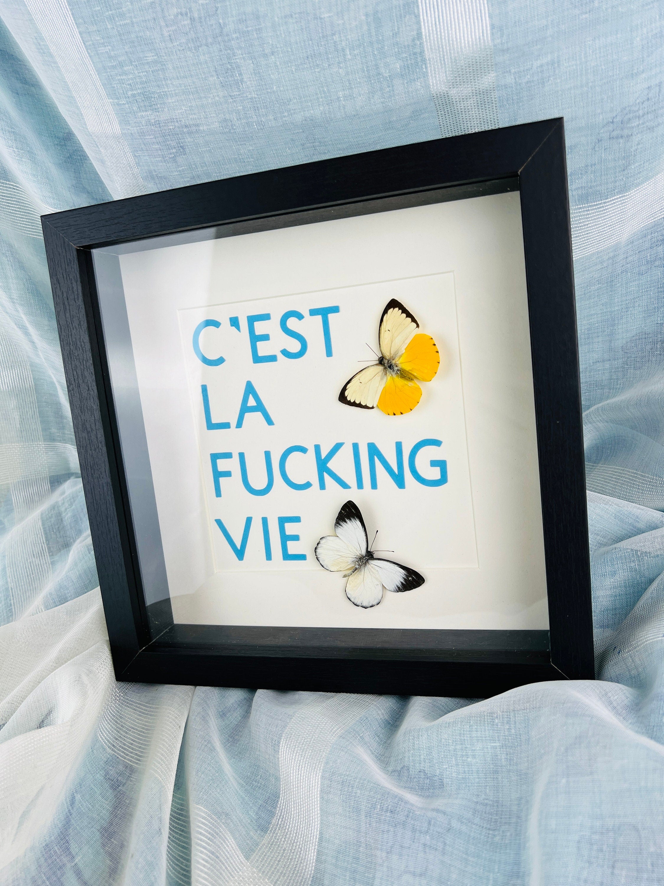 Vlinders met tekst in lijst