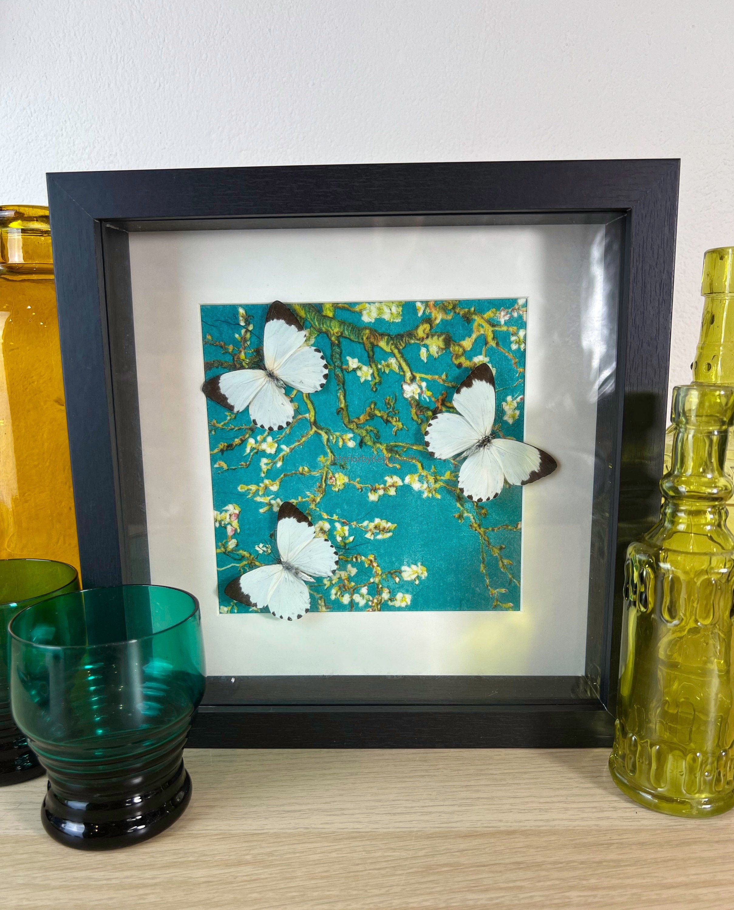 Echte vlinders Belenois Calypso in lijst met print 25x25cm