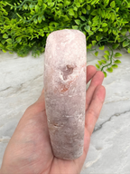 A hand is holding a large, white, rock-like object, which appears to be a piece of rock or a mineral sample. The background features a green plant or foliage, providing a natural contrast to the man-made object.