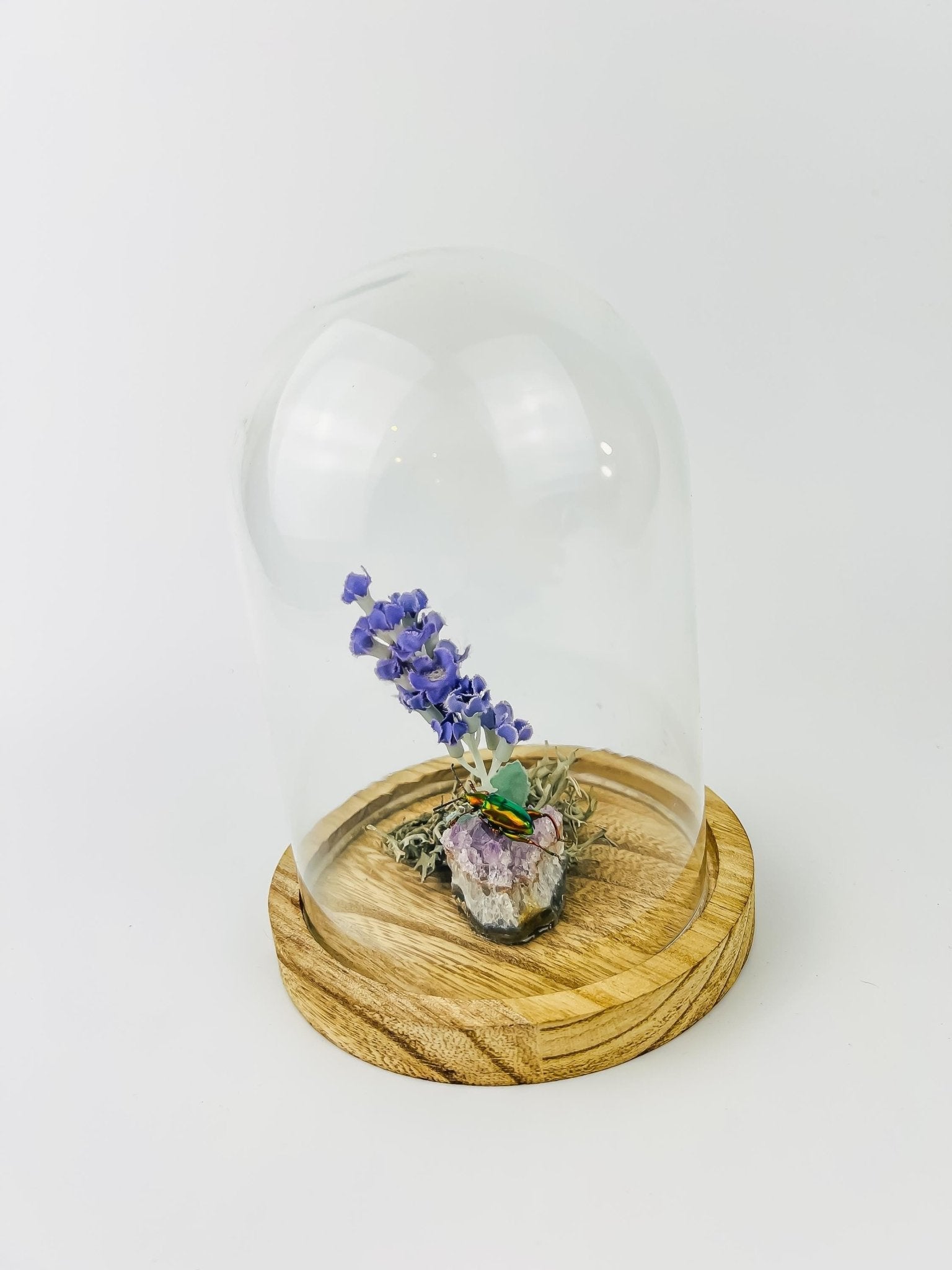 Schillernder Käfer auf Amethyst mit Lavendel und echtem Moos in einer Glasglocke von KEY LIME STORE