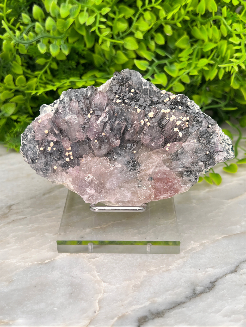 A clear glass display case containing a large, irregularly shaped crystal with a mix of black, pink, and white colors. The crystal is placed on a marble surface, with a background of green foliage.