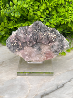 A clear glass display case containing a large, irregularly shaped crystal with a mix of black, pink, and white colors. The crystal is placed on a marble surface, with a background of green foliage.