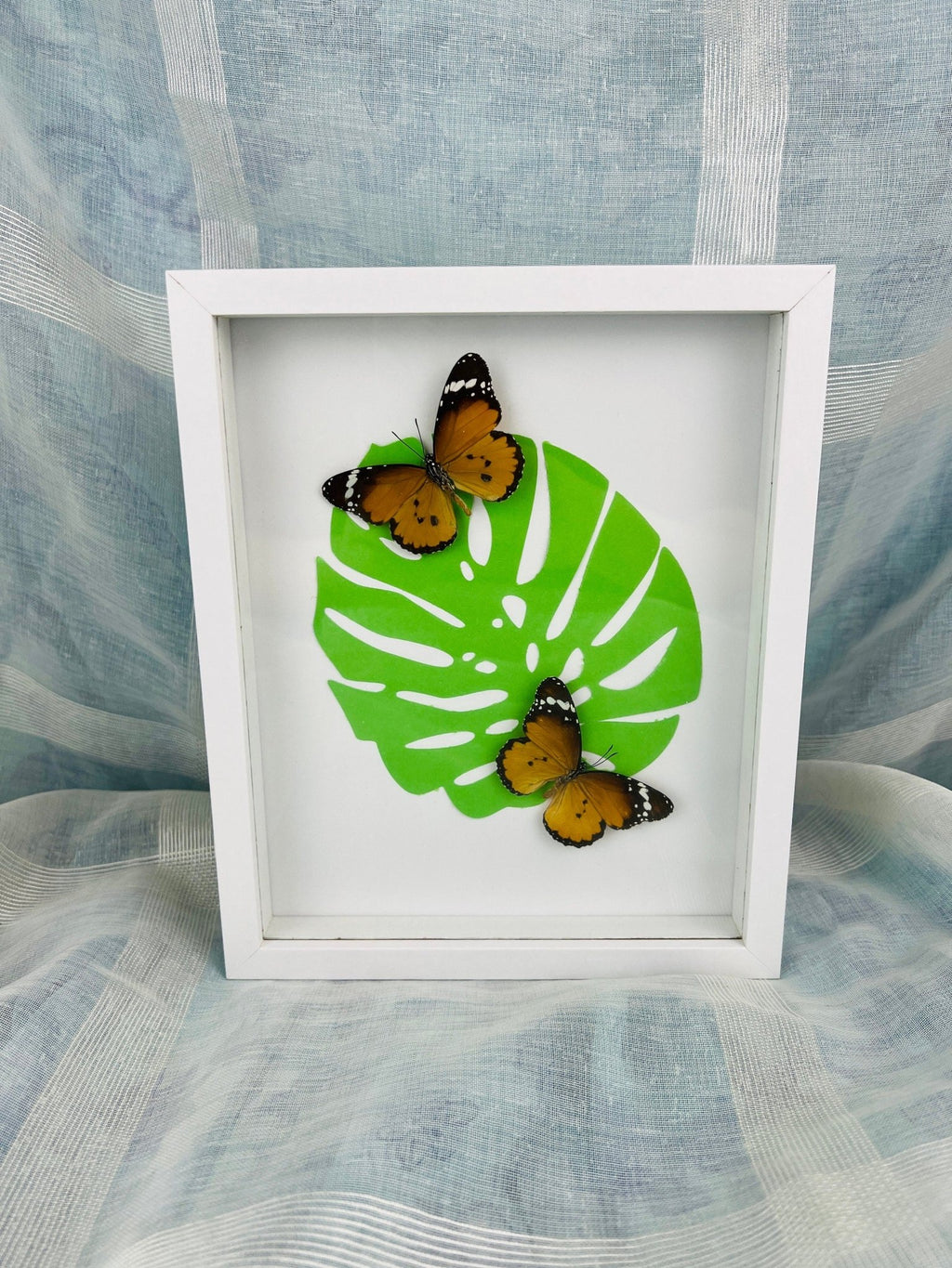„Danaus Chrysippus“ auf Monstera-Druck, gerahmt von KEY LIME STORE