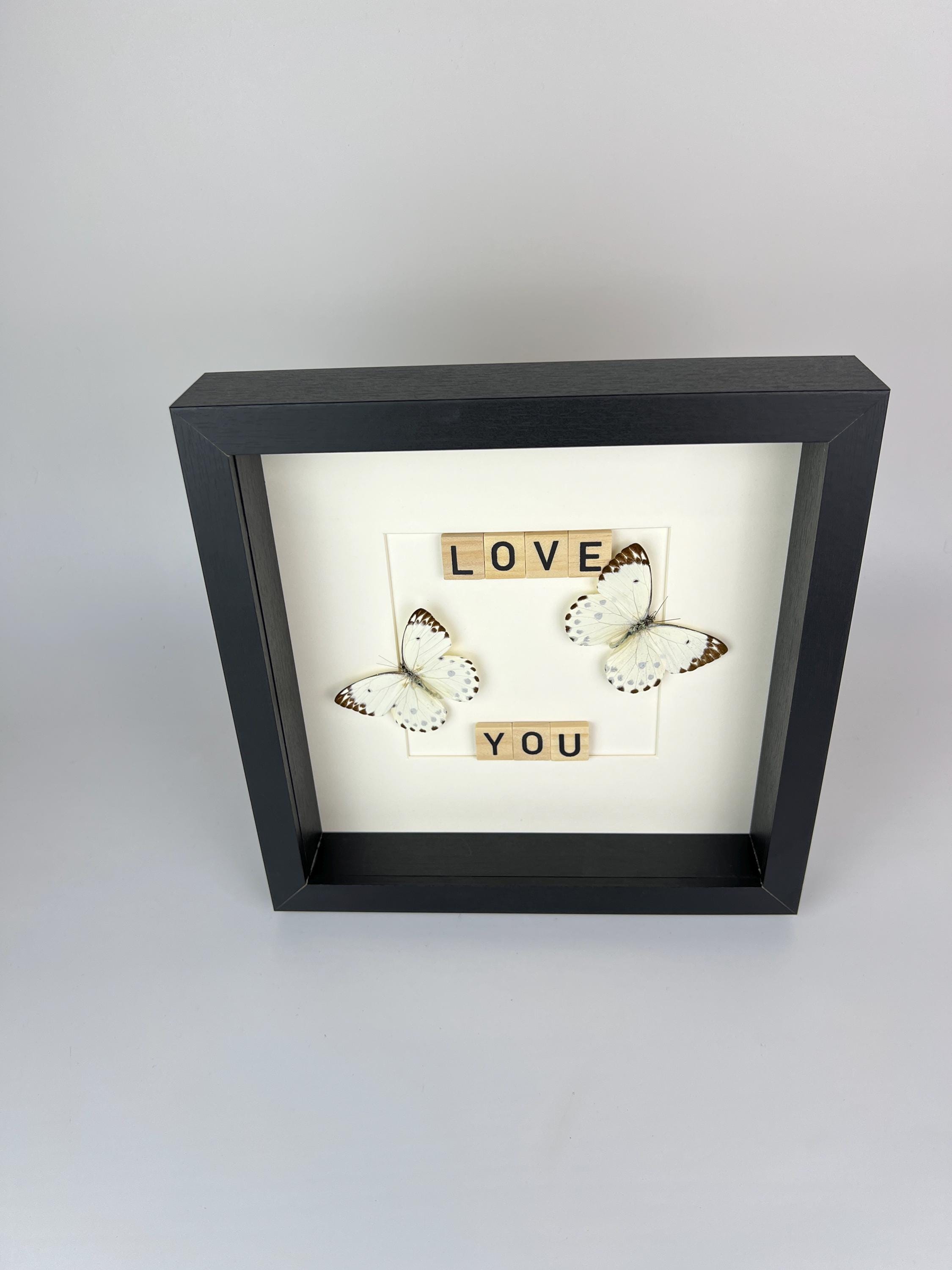 Hebemoia Leucippe-Schmetterling im Rahmen