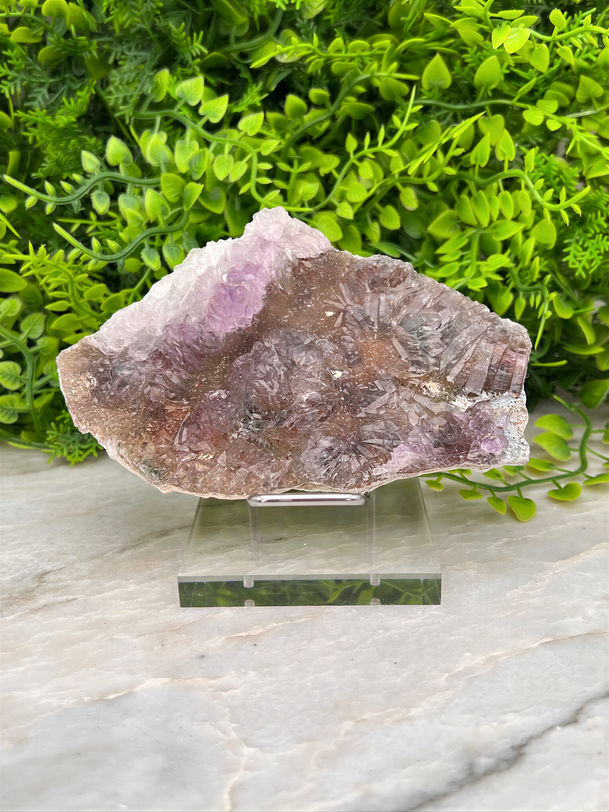 A piece of amethyst crystal is displayed on a clear stand, surrounded by lush green foliage.