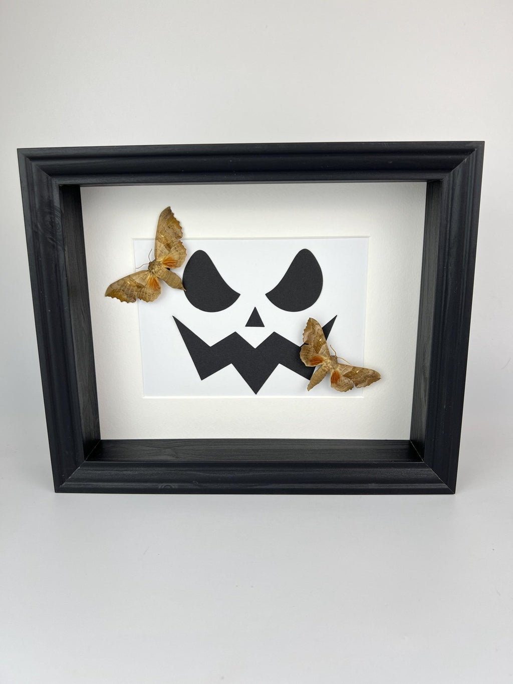 Motten auf Halloween-Motiv, gerahmt von KEY LIME STORE