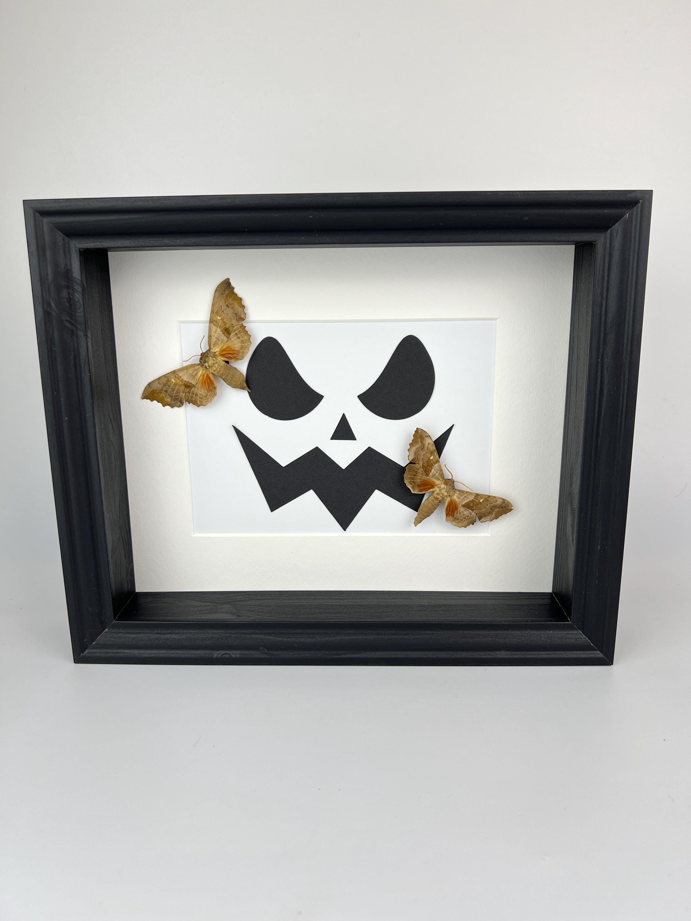 Motten op halloween print in lijst