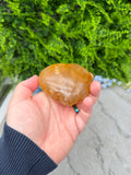 A hand holding a yellowish-brown rock against a backdrop of green foliage.