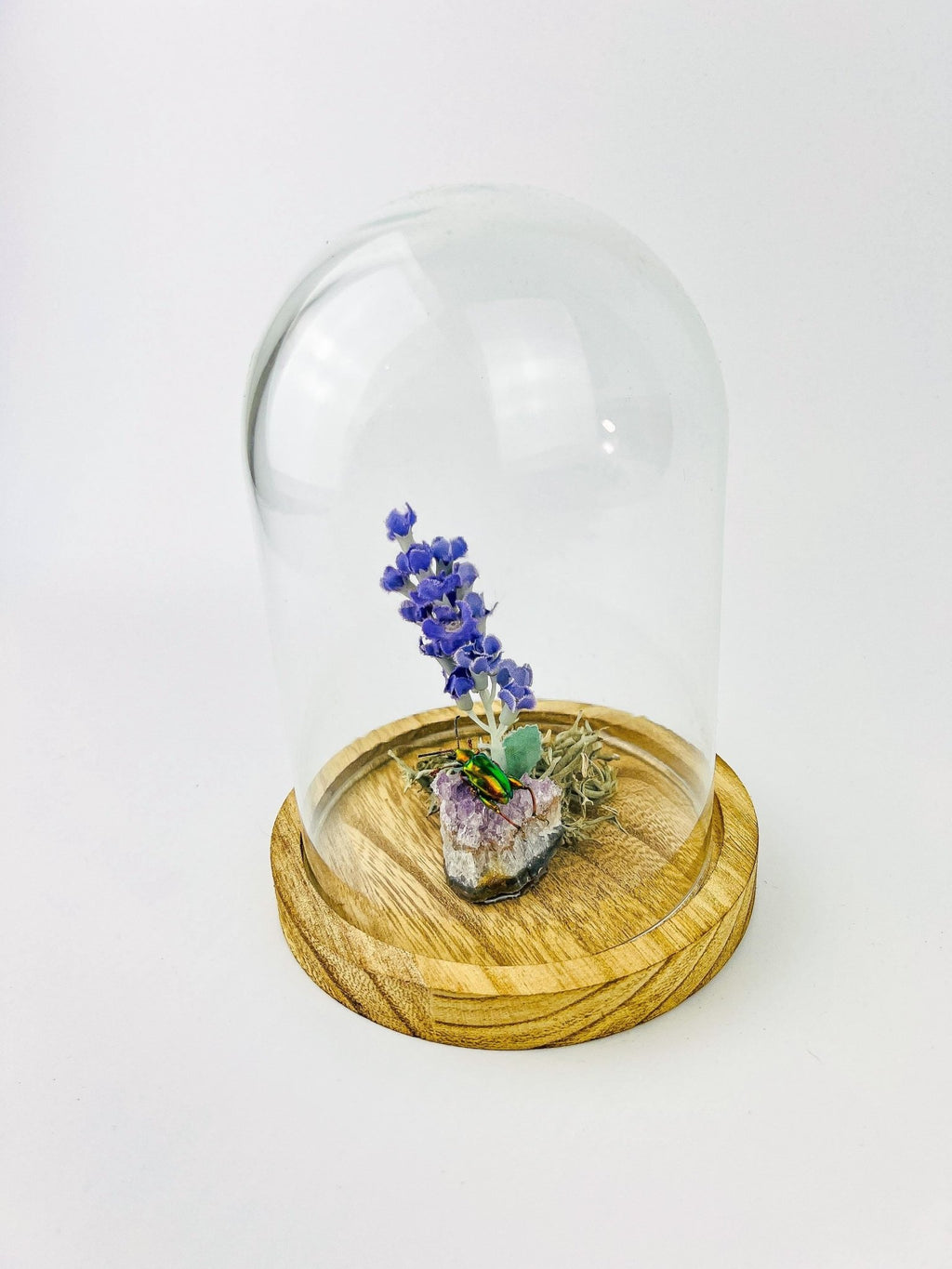 Schillernder Käfer auf Amethyst mit Lavendel und echtem Moos in einer Glasglocke von KEY LIME STORE
