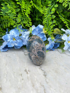 a close-up view of a stone with a speckled surface, surrounded by vibrant blue flowers and lush green foliage.